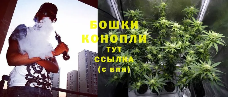 закладки  Иланский  гидра ССЫЛКА  Канабис LSD WEED 